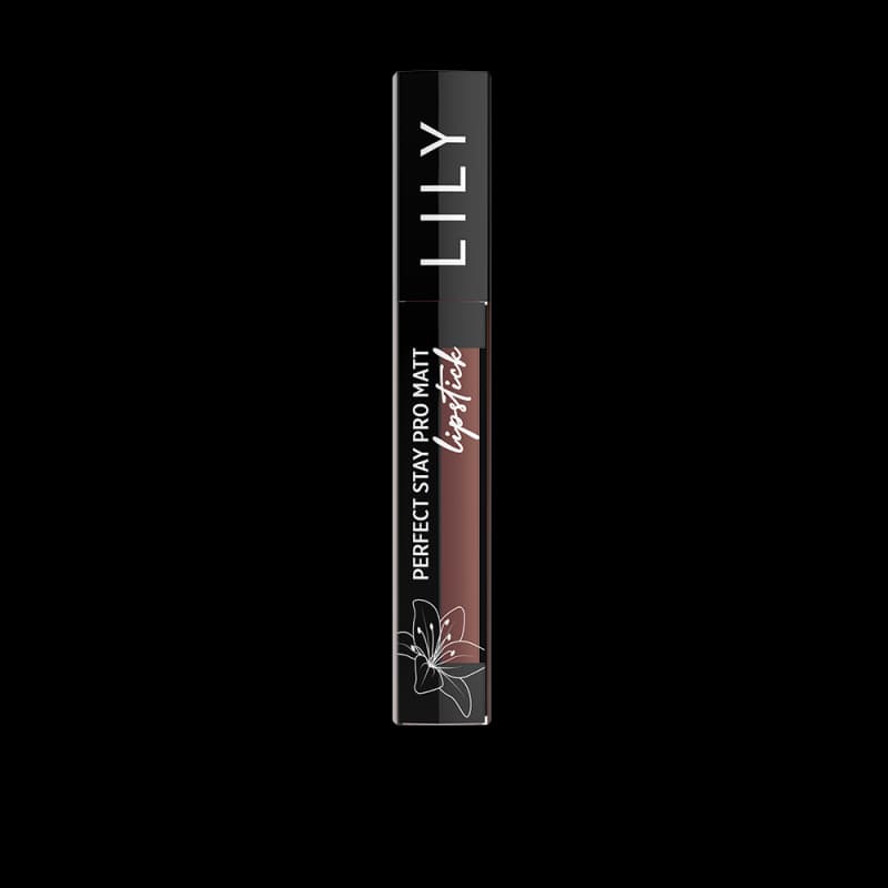 Lily Perfect Stay Pro Matte Liquid Lipstick Ash Plum-24